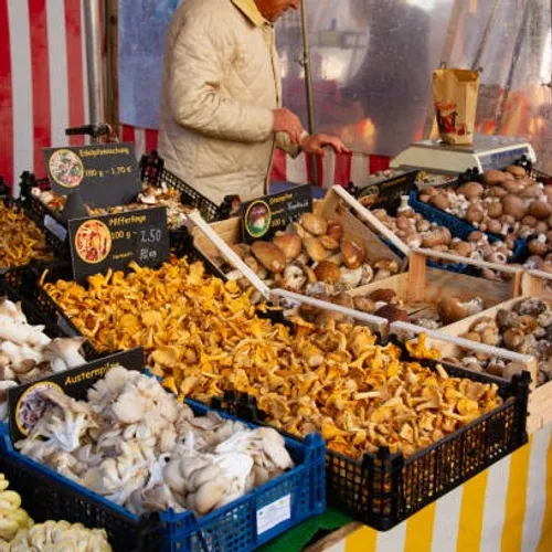 Vence : des champignons vénéneux vendus par erreur