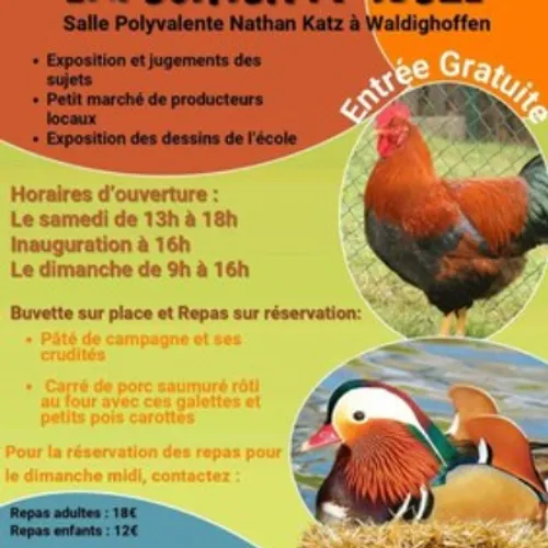 Exposition Avicole de Waldighoffen