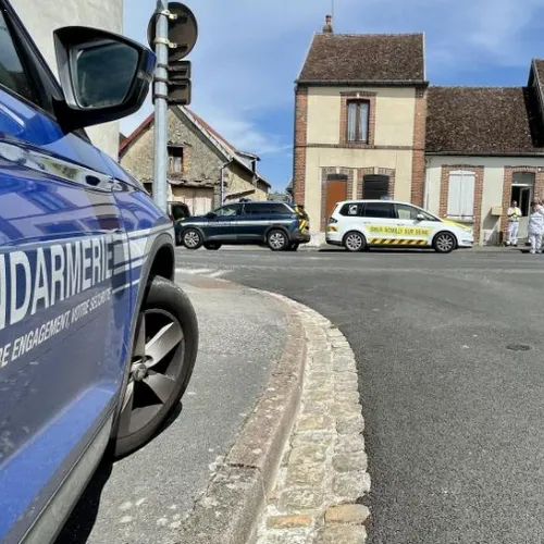 Une jeune femme soupçonnée d'avoir égorgé sa mère