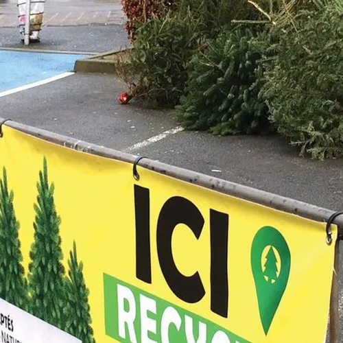 Les points de collecte attendent vos sapins