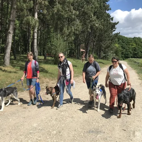 À Epernay, partez en randonnée avec les animaux du refuge! 