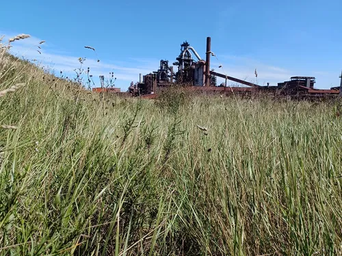 Visite process & biodiversité ArcelorMittal le 24 mai à Grande-Synthe