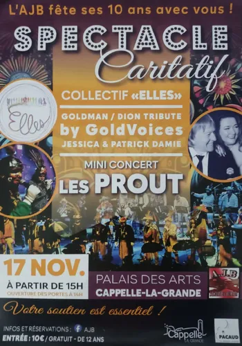 Spectacle Caritatif L'AJB fête ses 10 ans le 17 novembre à...