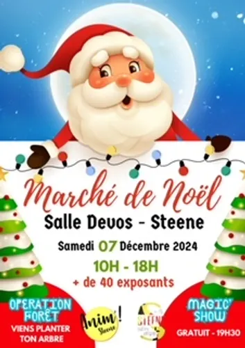 Marche de noel le 7 décembre à Steene