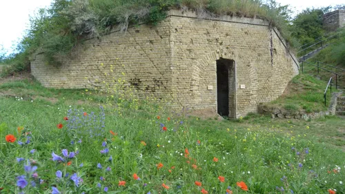 Visite-atelier famille "Flower Power" au Fort des Dunes le 1...