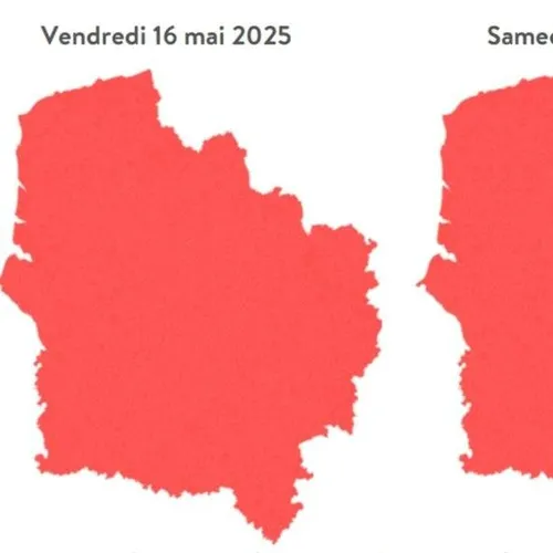 La région Hauts-de-France classée en alerte rouge aux pollens de...