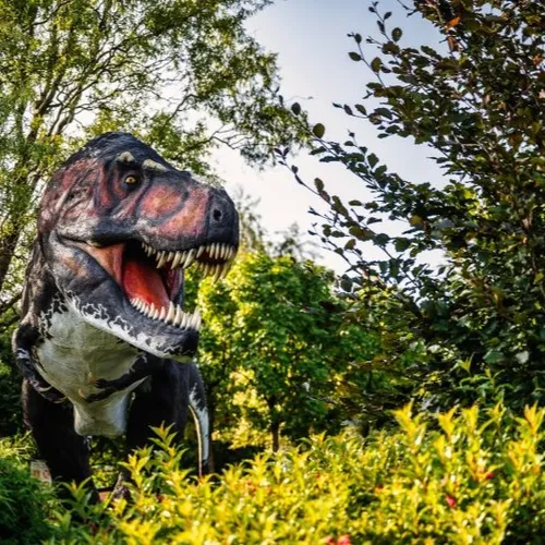 Jurassic Shark