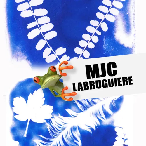 MJC De Labruguière