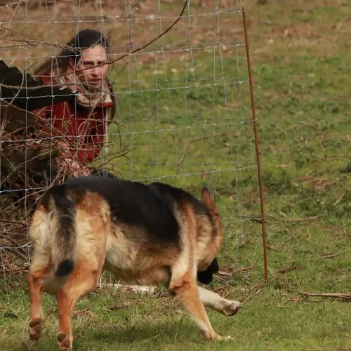 Elle répond à toutes vos questions sur les chiens...