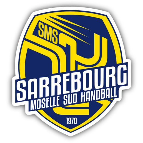 Sarrebourg Moselle Sud Handball