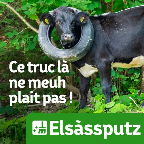 Elsàssputz : on nettoie la nature en Alsace