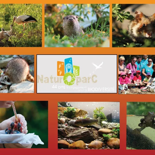 Gagnez votre pass famille pour NaturoParc à Hunawihr