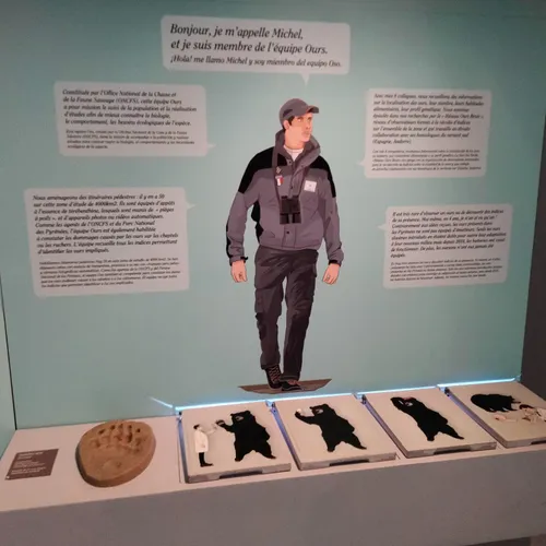 Exposition Ours entre mythes et réalités