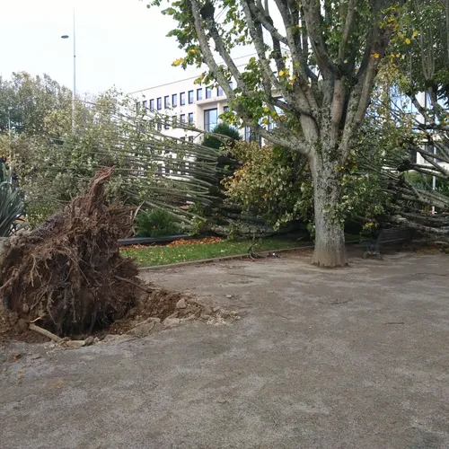 Les dégâts de la tempête Ciaran à Saint-Nazaire