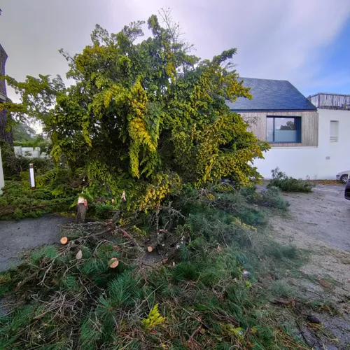 Des dégâts de la tempête Ciaran en Loire-Atlantique