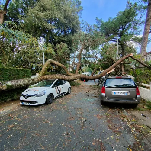 Les dégâts de la tempête Ciaran dans le département de Loire-Atlantique