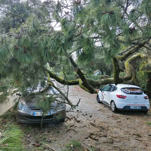 Les dégâts de la tempête Ciaran dans le département de Loire-Atlantique