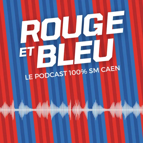 [PODCAST] Stéphane Moulin, invité exceptionnel de "Rouge et Bleu" 
