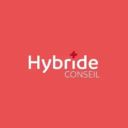 Hybride Conseil : un Piment Vert pour vous aider dans le monde digital