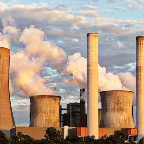 Méduses : quand la nature paralyse l'une des plus grandes centrales...