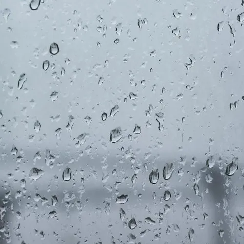 Peu de dégâts pour la tempête Benjamin en Avesnois