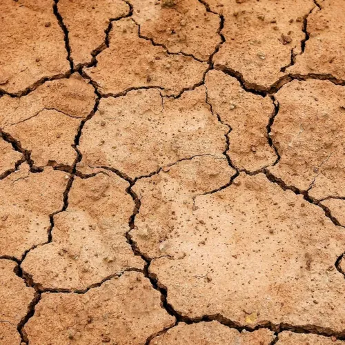 La sécheresse