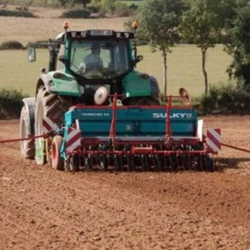 Le semis de prairie