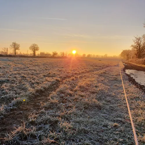 Le gel et le sol