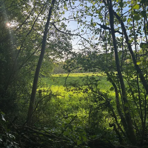 Ça pousse,  on respire !