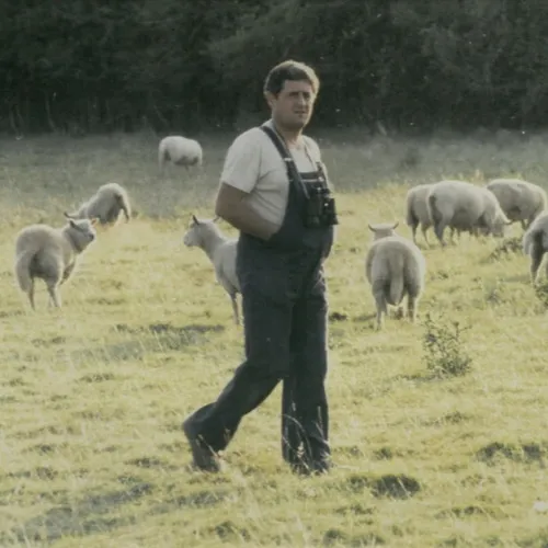 L'agneau