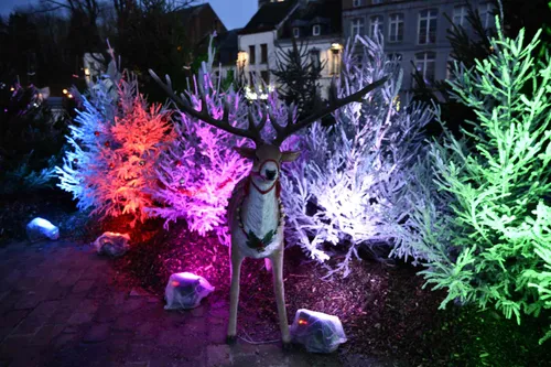 Illuminations de Noël : quelle stratégie dans les communes de...