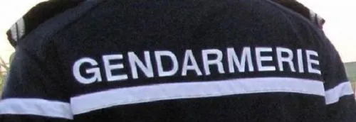 Journal 12h - Un homme placé en garde à vue après avoir fauché un...