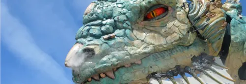 Découvrez le Dragon et l'Iguane de Calais