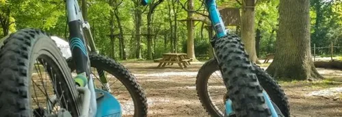 De la trottinette électrique au cœur de la forêt de Phalempin