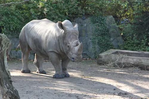 A la découverte des zoos de la région