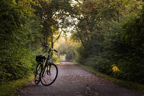 Des balades à vélo pour découvrir la région !