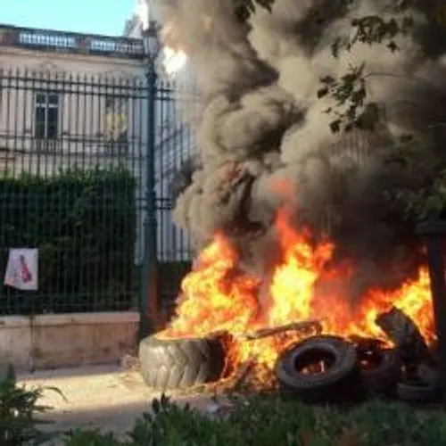 [ ECONOMIE - NIMES ] LES VITICULTEURS MANIFESTENT DEVANT LA...