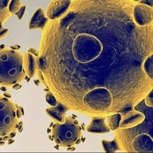 [ ALERTE INFO - PACA ] Coronavirus : dans la région, le pic...