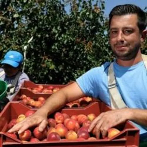 [ ECONOMIE - ARLES ] les producteurs d'abricots en appellent aux...