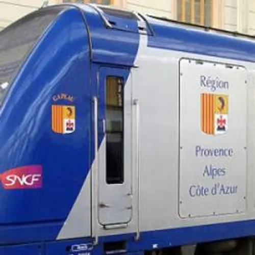 Des nouveaux trains vont bientôt faire leur apparition en Camargue...
