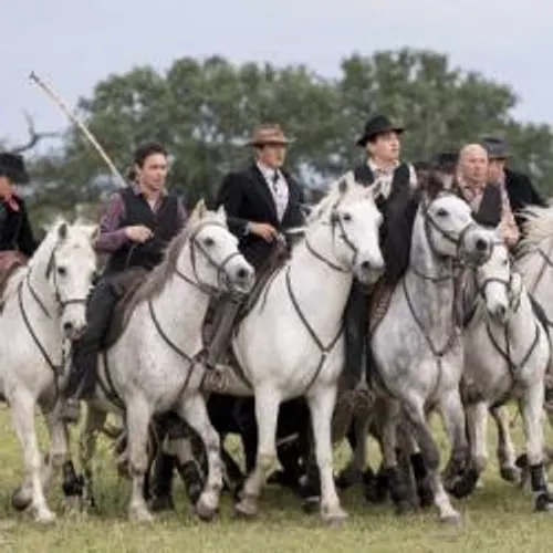 [TRADITION]: C’est l’heure du bilan pour les manadiers !