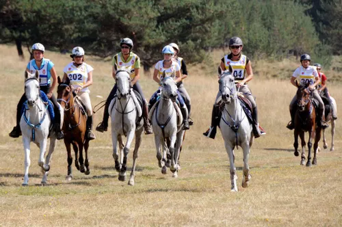 Endurance Equestre Internationale à Port Saint Louis.