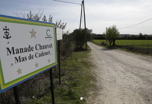 Arles : la manade Chauvet est-elle menacée de disparition ?