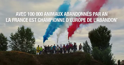 [ SOCIETE - FRANCE ] LA FRANCE, CHAMPIONNE D'EUROPE DE L'ABANDON...