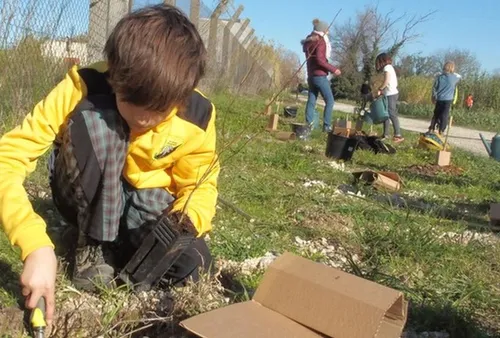 [ EDUCATION - ARLES ] Des Arlésiens à la main verte plantent 1 600...