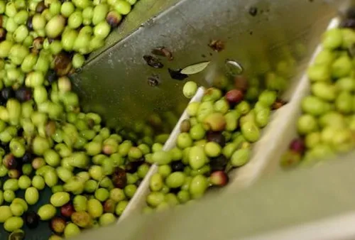 [Coronavirus] : les entreprises du Pays d'Arles lourdement impactées.