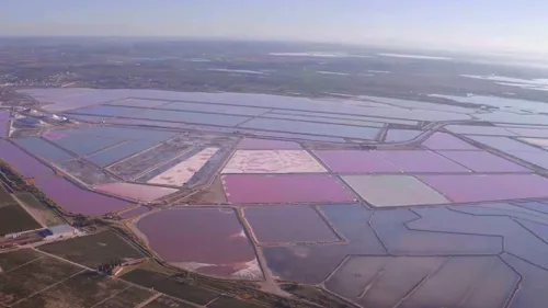 [ CULTURE - CAMARGUE ] Ce dimanche 29 mars à 11h30, le sel de...