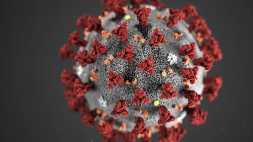 [ SANTE - PACA ] Evolution du nombre de cas de coronavirus en...