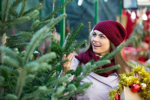 [REGION]: ce week-end, Beaucoup ont acheté et surtout décoré leur...
