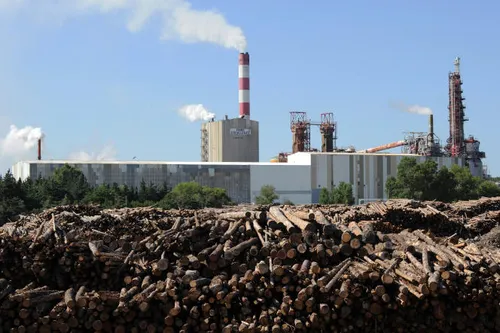 [ECONOMIE]: L’usine Fibre Excellence à Tarascon, a un nouveau...